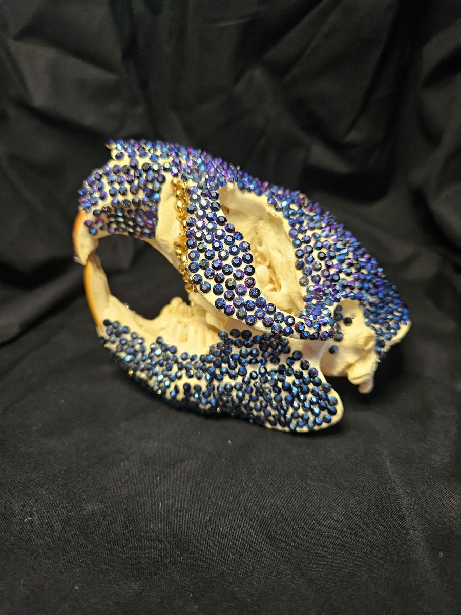 Crystal Bedazzled Beaver Skull