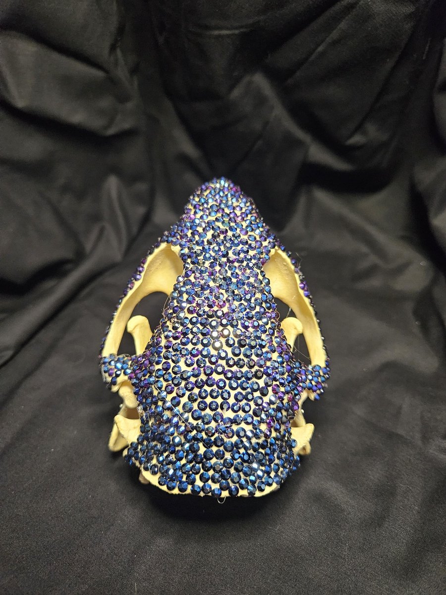Crystal Bedazzled Beaver Skull