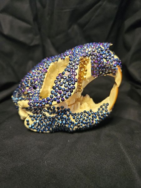 Crystal Bedazzled Beaver Skull